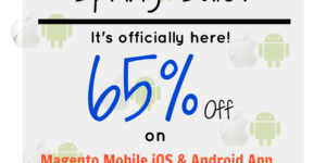 Spring Sale is here! Avail 65% off on Ecommerce Magento App Development